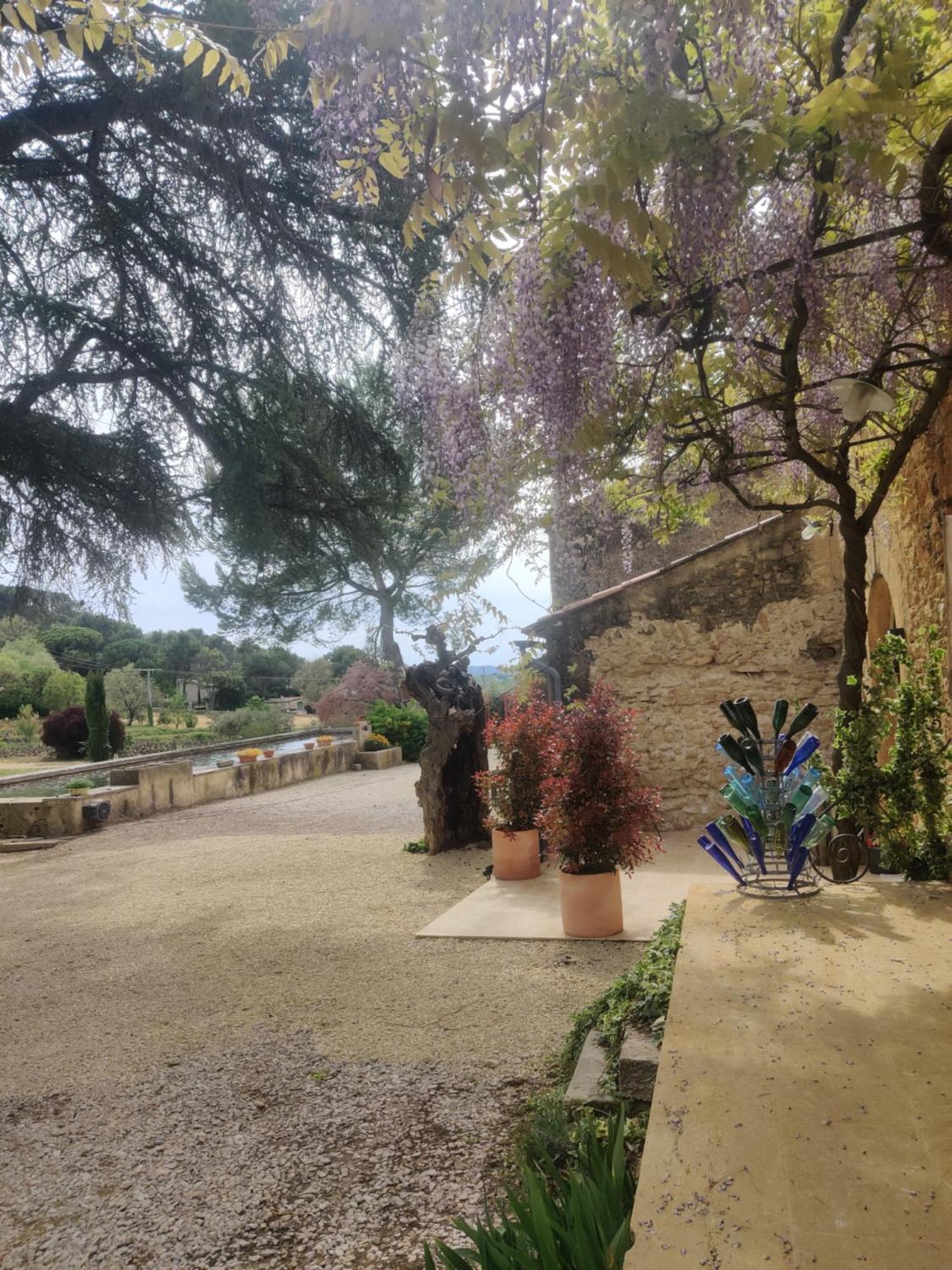Charme Et Authenticite Dans Une Ferme. Lourmarin Exteriör bild